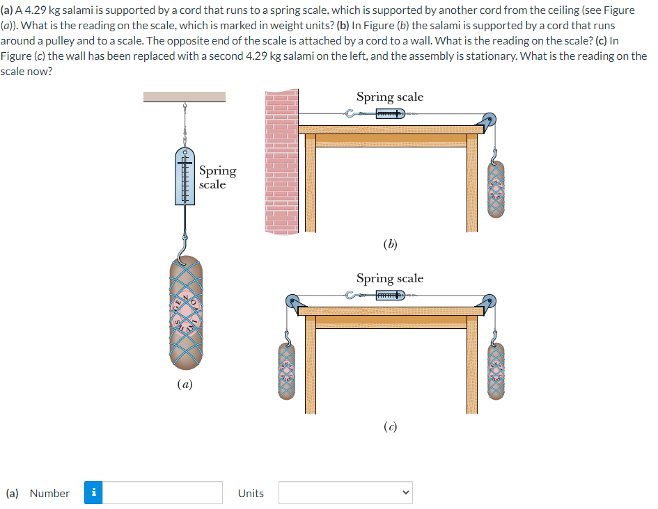 (a) A 4.29 kg salami is supported by a cord that runs to a spring scale, which is supported by another cord from the ceiling (see Figure (a)). What is the reading on the scale, which is marked in weight units? (b) In Figure (b) the salami is supported by a cord that runs around a pulley and to a scale. The opposite end of the scale is attached by a cord to a wall. What is the reading on the scale? (c) In Figure (c) the wall has been replaced with a second 4.29 kg salami on the left, and the assembly is stationary. What is the reading on the scale now? (a) (b) Spring scale (c) (a) Number Units